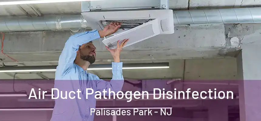  Air Duct Pathogen Disinfection Palisades Park - NJ