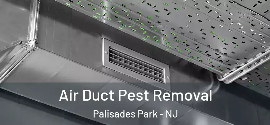Air Duct Pest Removal Palisades Park - NJ