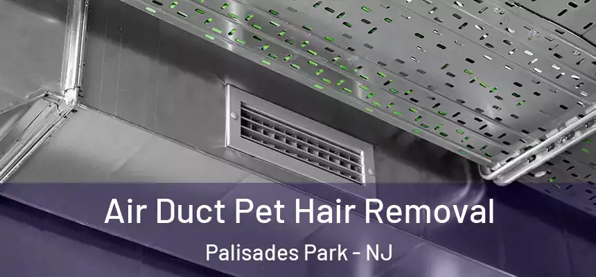  Air Duct Pet Hair Removal Palisades Park - NJ