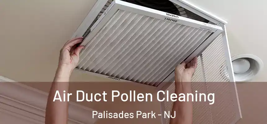 Air Duct Pollen Cleaning Palisades Park - NJ