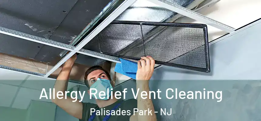 Allergy Relief Vent Cleaning Palisades Park - NJ