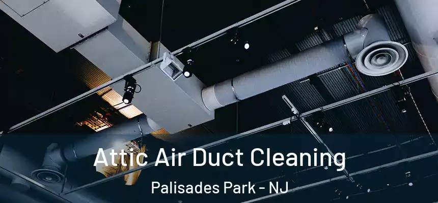 Attic Air Duct Cleaning Palisades Park - NJ