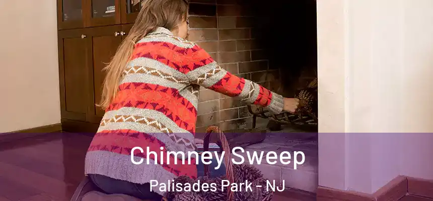  Chimney Sweep Palisades Park - NJ