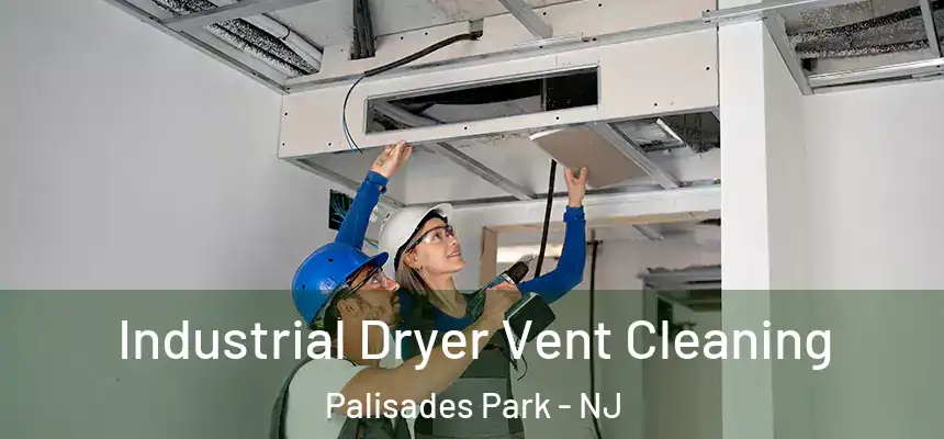 Industrial Dryer Vent Cleaning Palisades Park - NJ