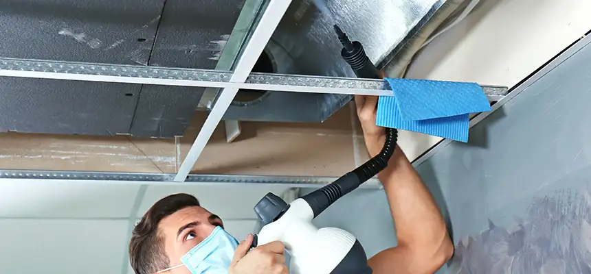 Our Air Duct Rodent Removal Services in Palisades Park, NJ