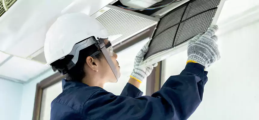 Our Mold & Mildew Removal from Air Ducts Services in Palisades Park, NJ