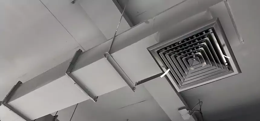 Our Rodent Droppings In Vents Services in Palisades Park, NJ