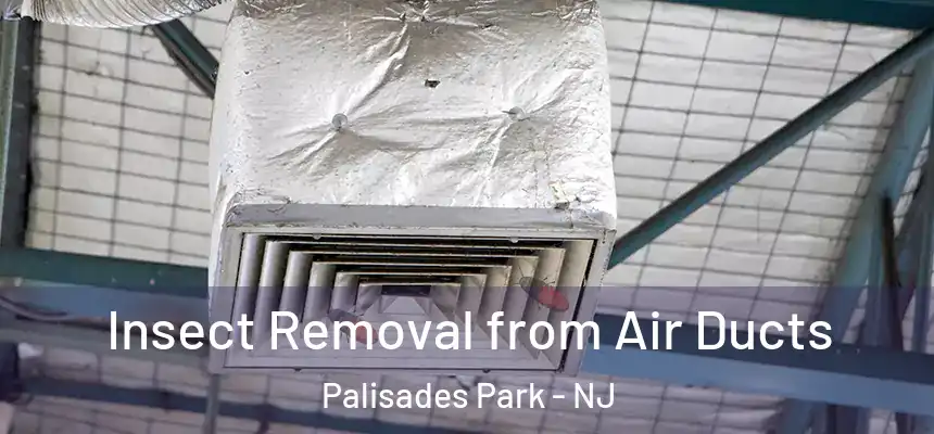  Insect Removal from Air Ducts Palisades Park - NJ