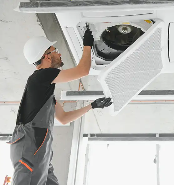 About Air Duct Rodent Removal in Palisades Park, NJ