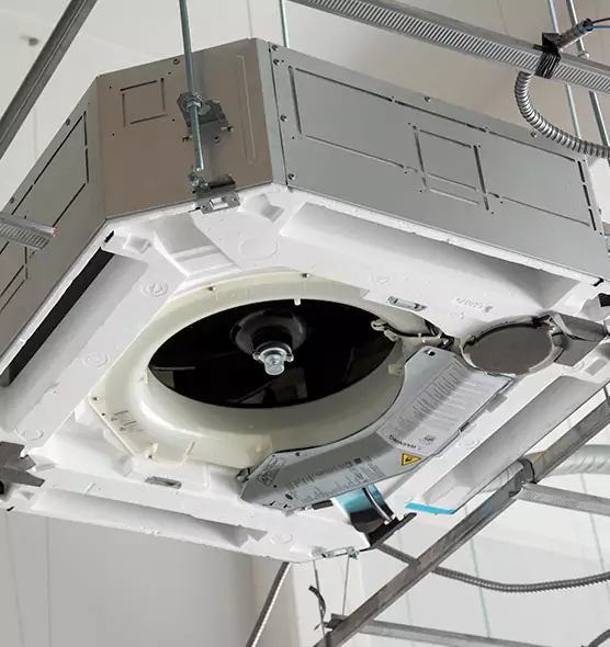 Professional Roof Vent Lint Removal Palisades Park, NJ