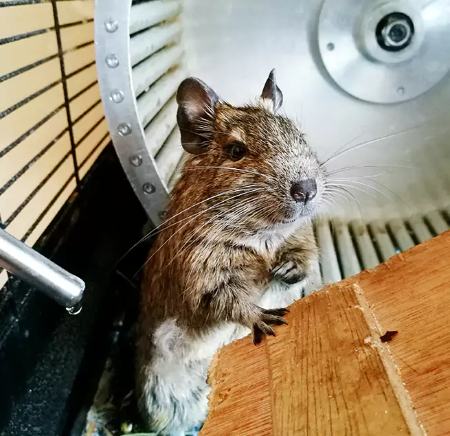 Why Homeowners & Businesses Trust Us Palisades Park, NJ