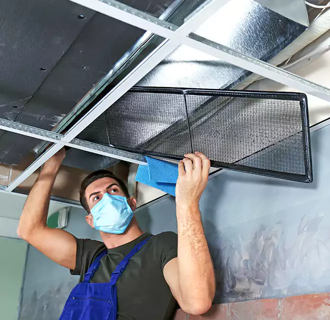 Why Homeowners Businesses Trust Us in Palisades Park, NJ